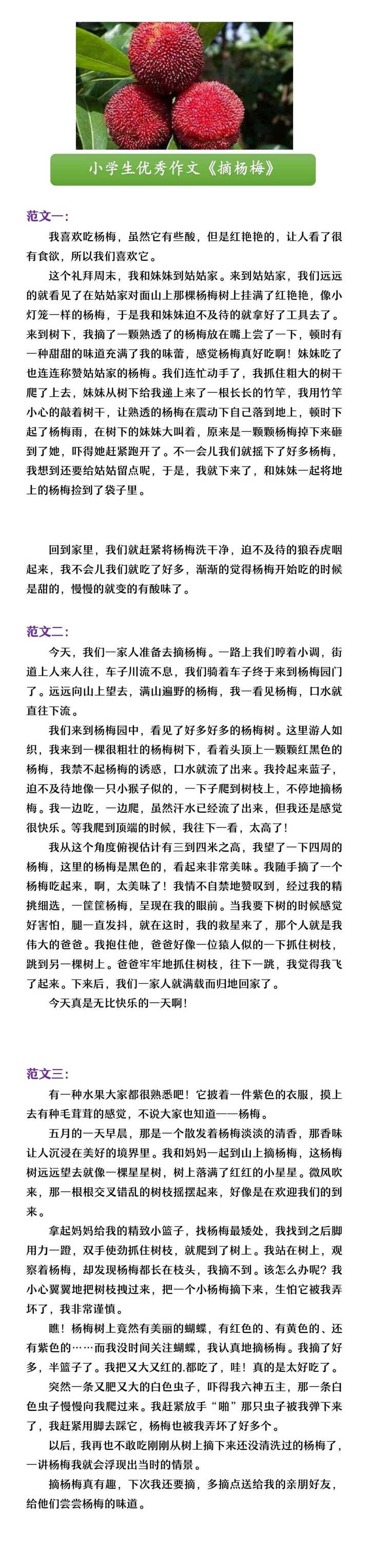 小学生优秀作文《摘杨梅》