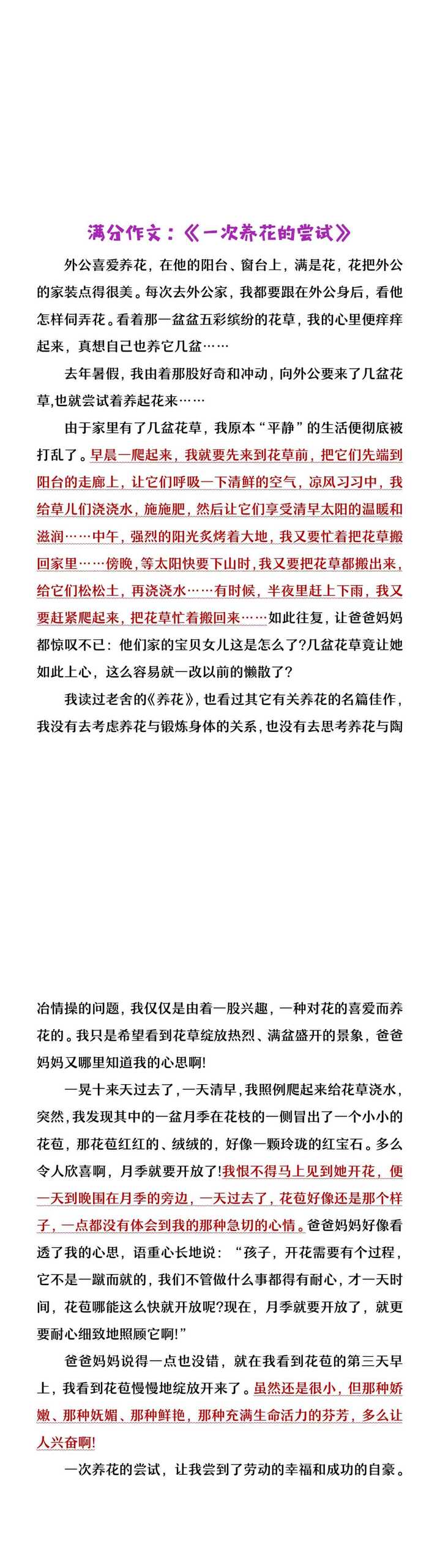 小升初押题作文《一次__的尝试》