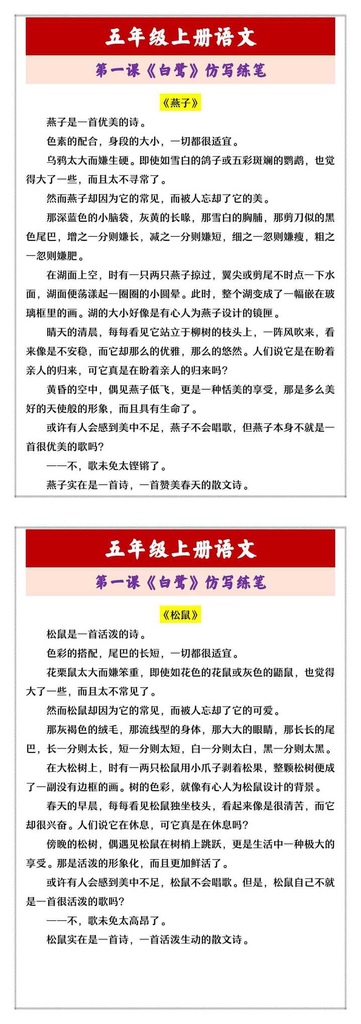 五年级上册语文 第一课《白鹭》仿写练笔