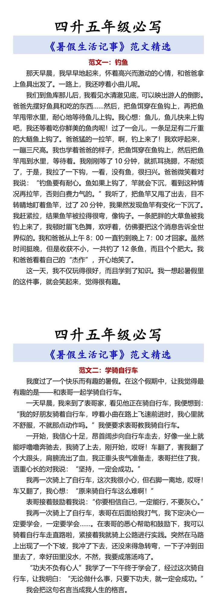 四升五年级必写 《暑假生活记事》范文精选