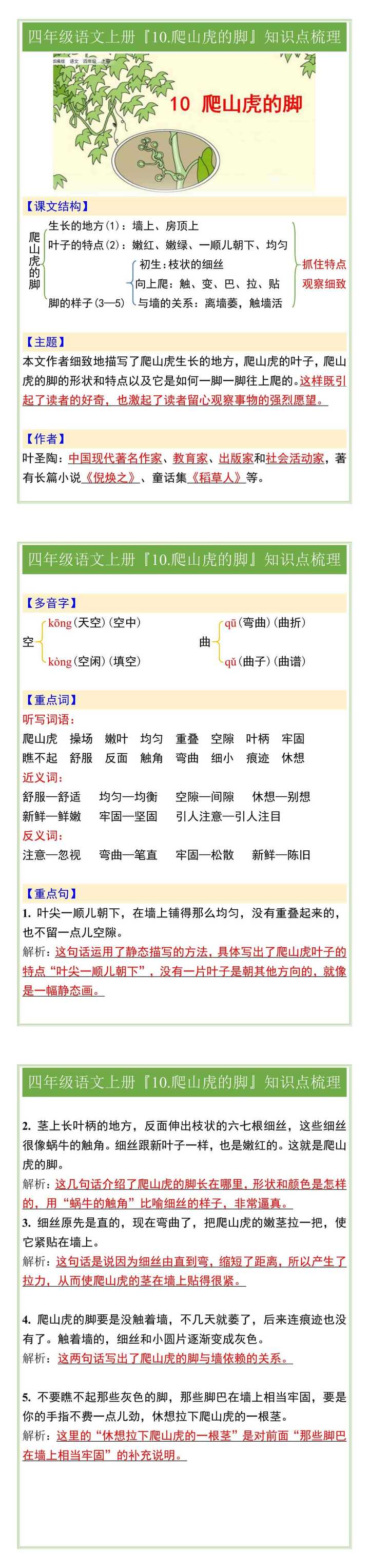 四年级语文上册『10.爬山虎的脚』知识点梳理