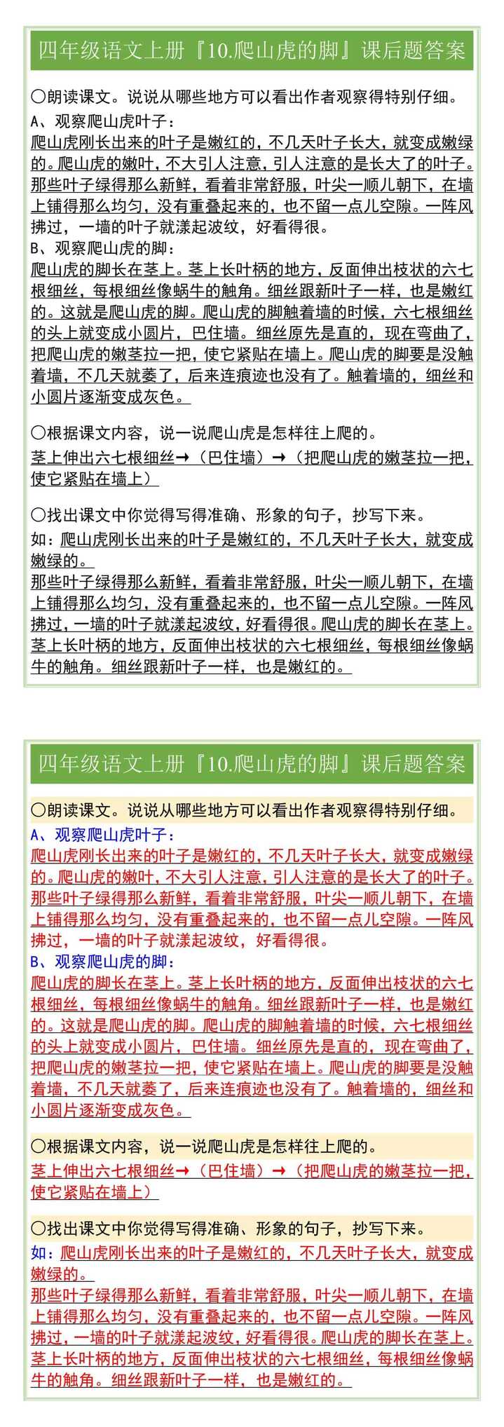 四年级语文上册『10.爬山虎的脚』课后题答案