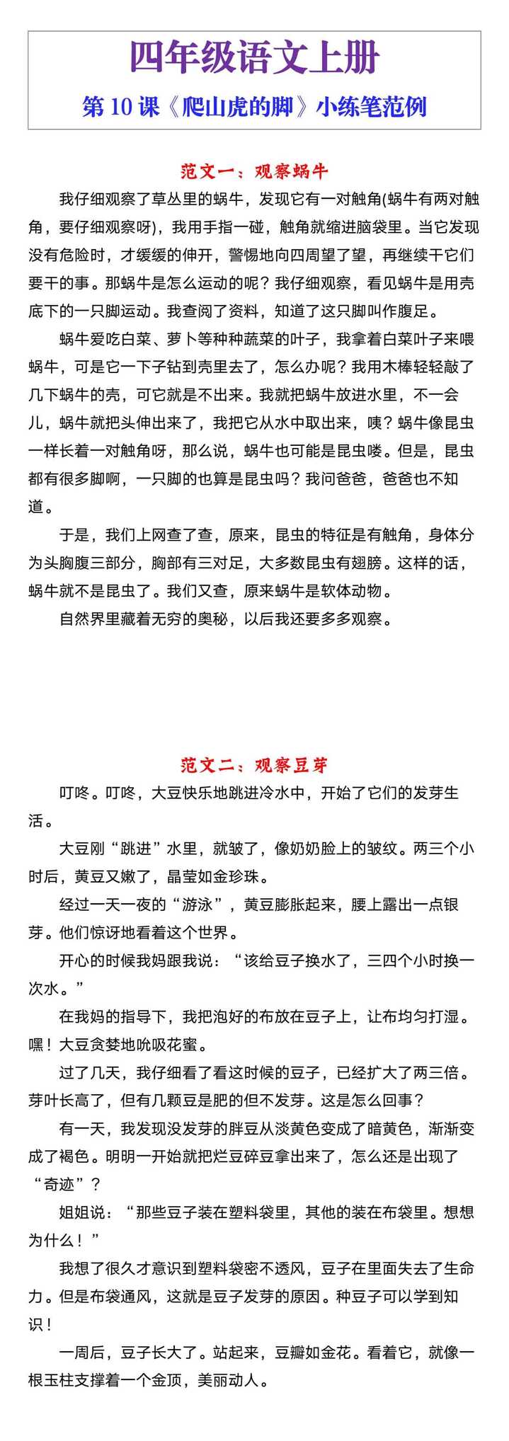 四年级语文上册爬山虎的脚小练笔范例
