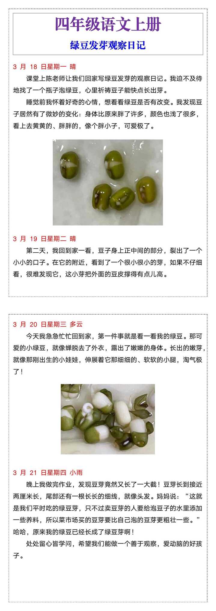 四年级语文上册绿豆发芽观察日记