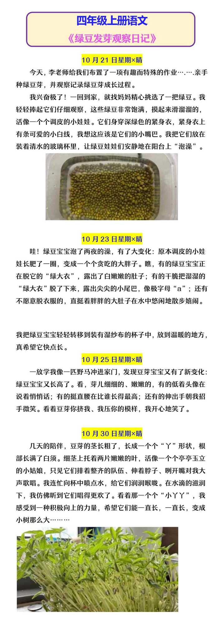 四年级上册语文 《绿豆发芽观察日记》