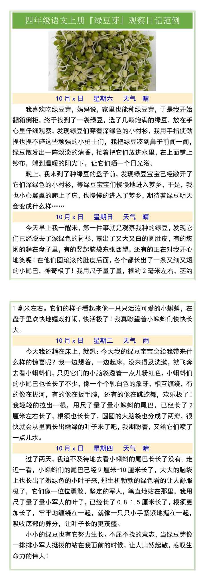 四年级语文上册·绿豆芽·观察日记范例