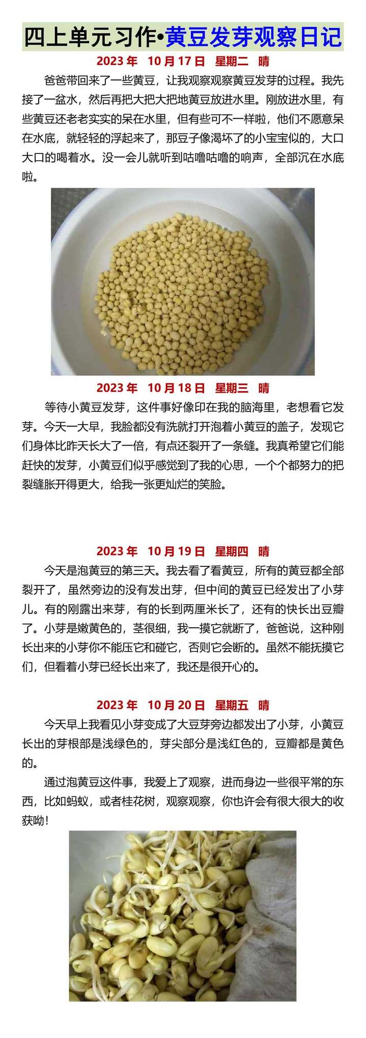 四上单元习作•黄豆发芽观察日记