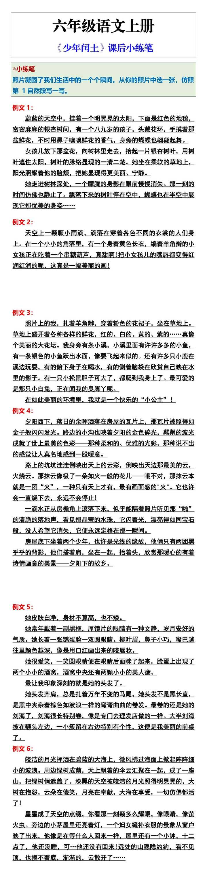 六年级语文上册《少年闰土》课后小练笔