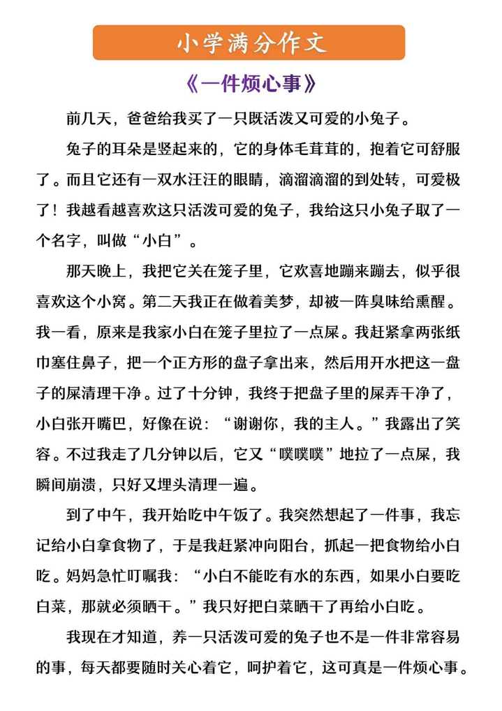 小学满分作文 《一件烦心事》