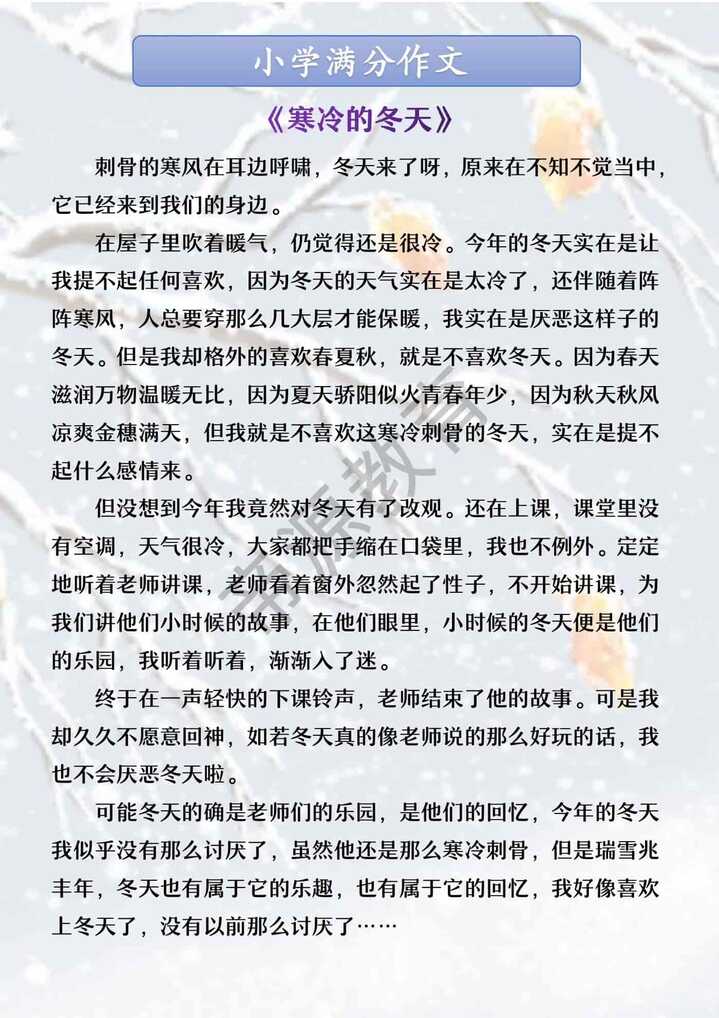小学满分作文 《寒冷的冬天》