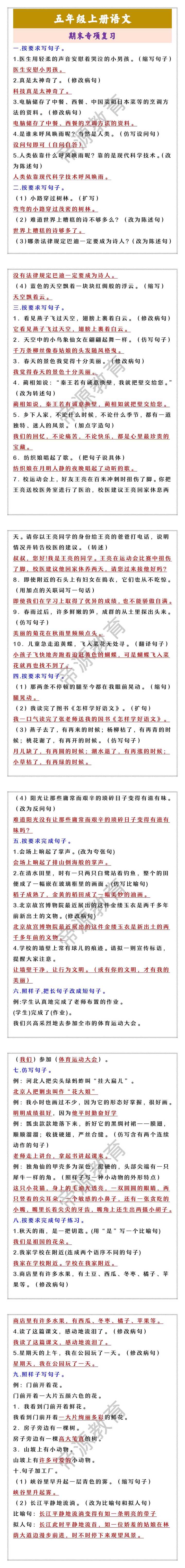 五年级上册语文 期末专项复习