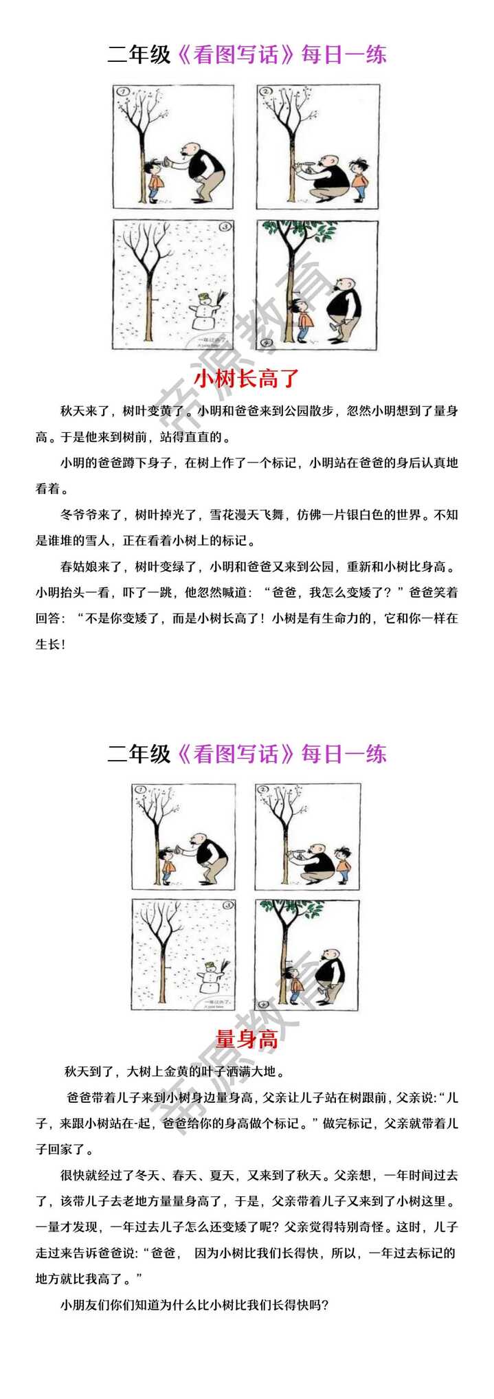 二年级看图写话 | 父与子《小树长高了》
