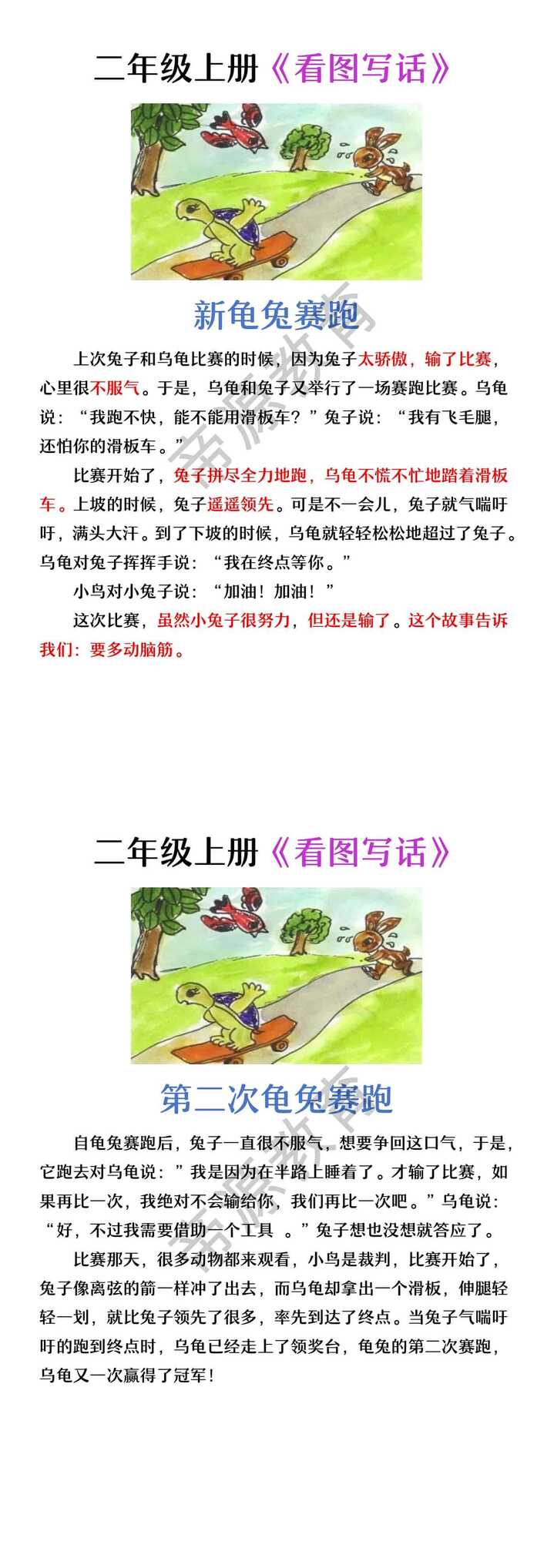 二年级看图写话 | 龟兔赛跑看图写话