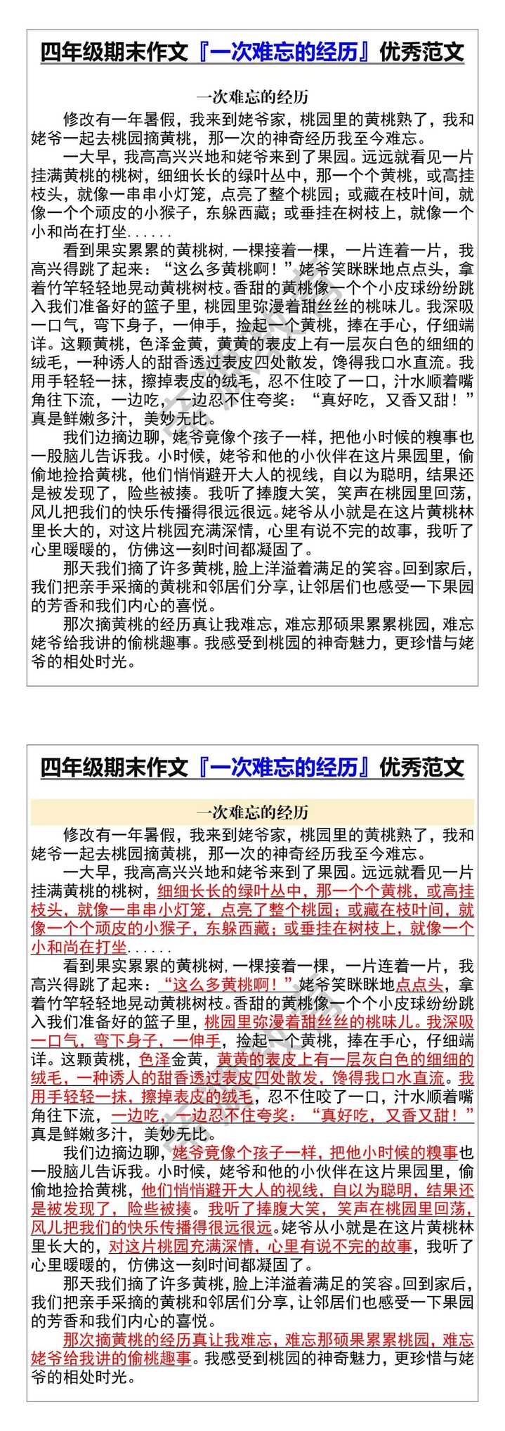 四年级期末作文『一次难忘的经历』优秀范文