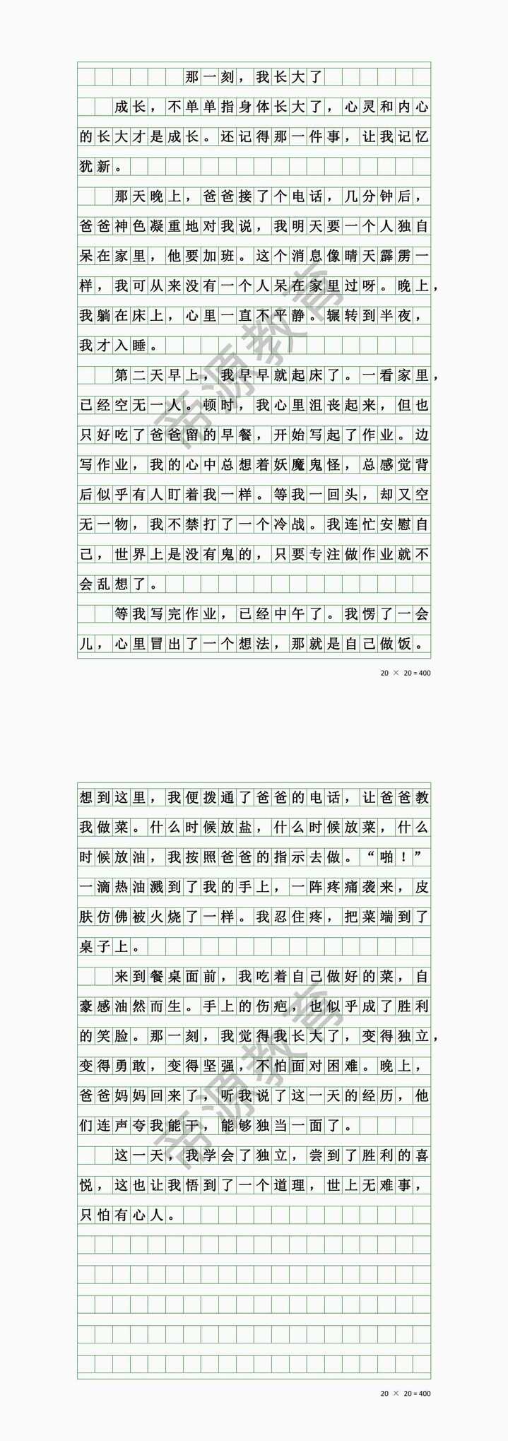 五下同步优秀作文《那一刻我长大了》