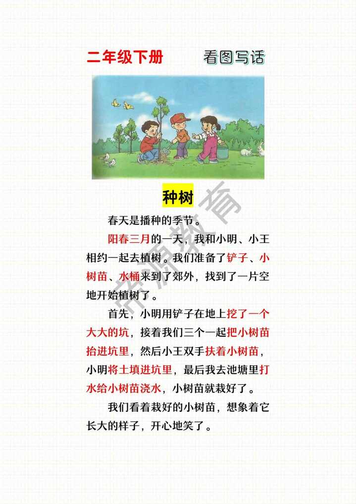 【看图写话】二年级范文：种树