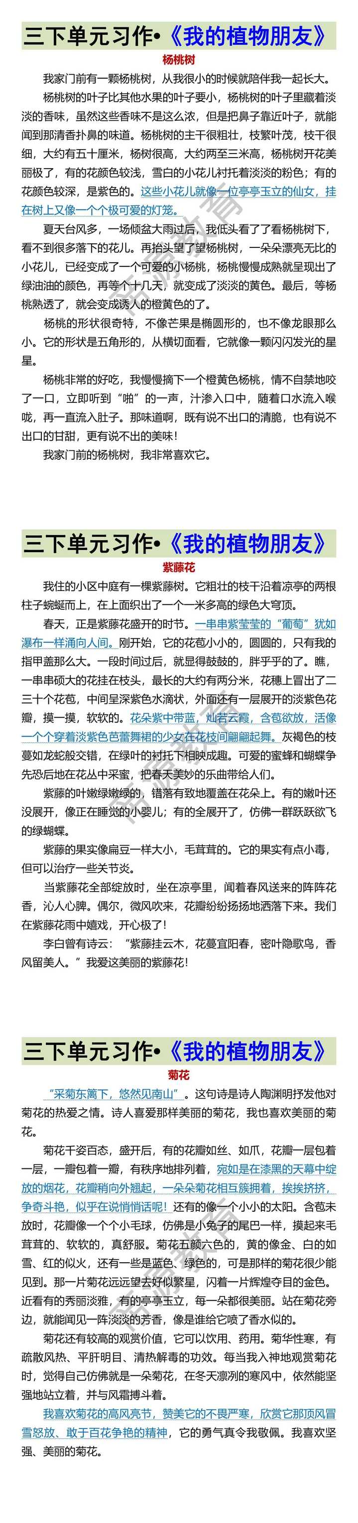 三下单元习作•《我的植物朋友》