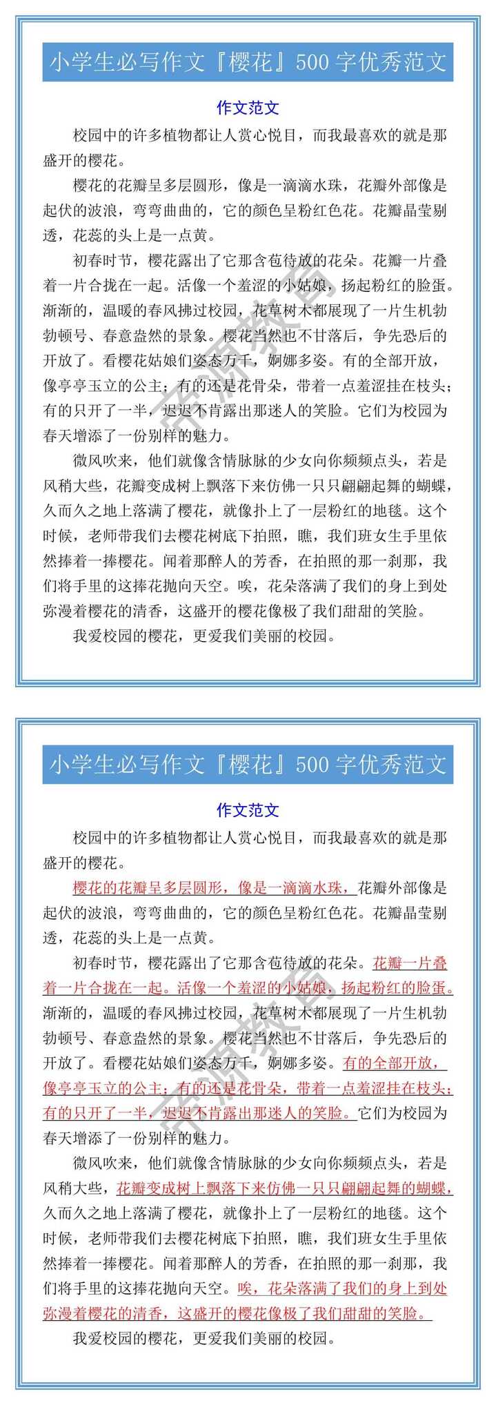 小学生必写作文『樱花』500字优秀范文