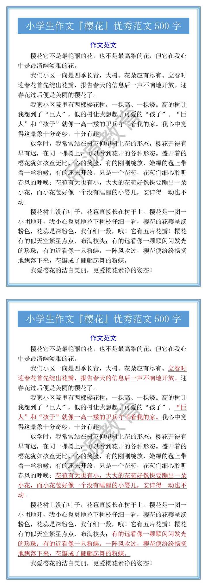 小学生作文『樱花』优秀范文500字