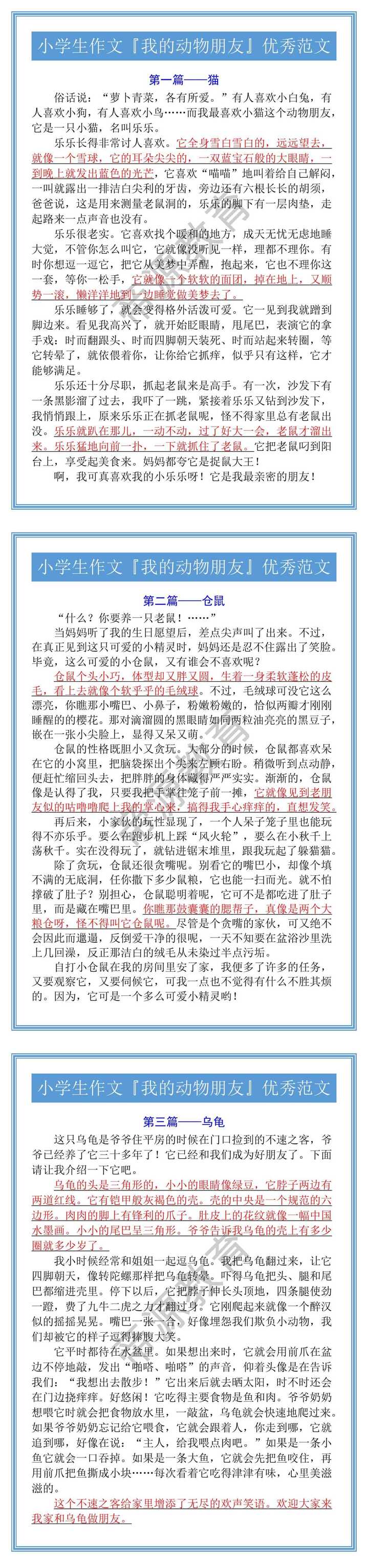 小学生作文『我的动物朋友』优秀范文