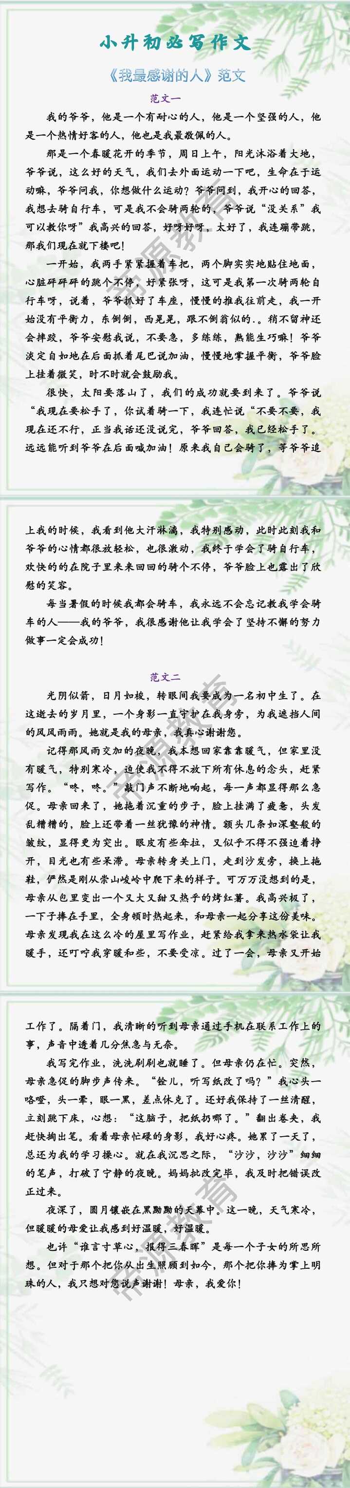 小升初必写作文 《我最感谢的人》范文