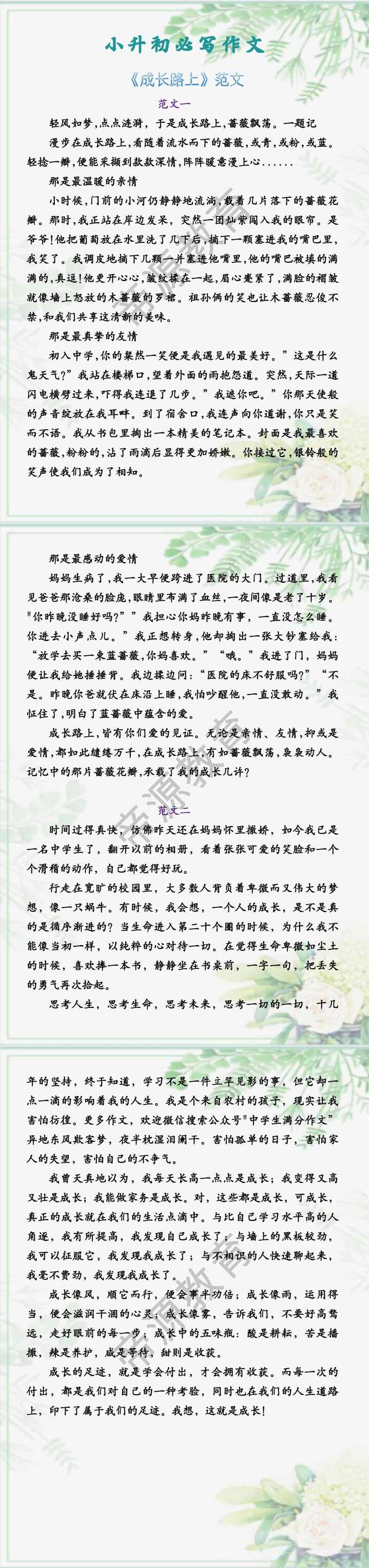 小升初必写作文 《成长路上》范文