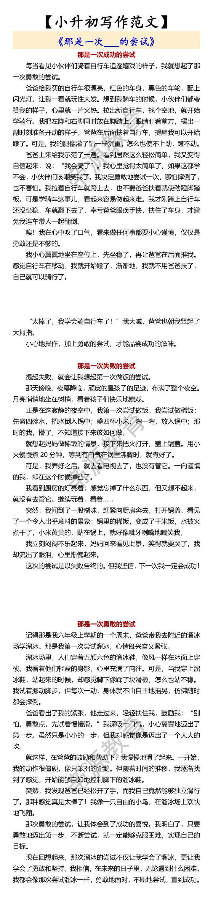 【小升初写作范文】 《那是一次___的尝试》