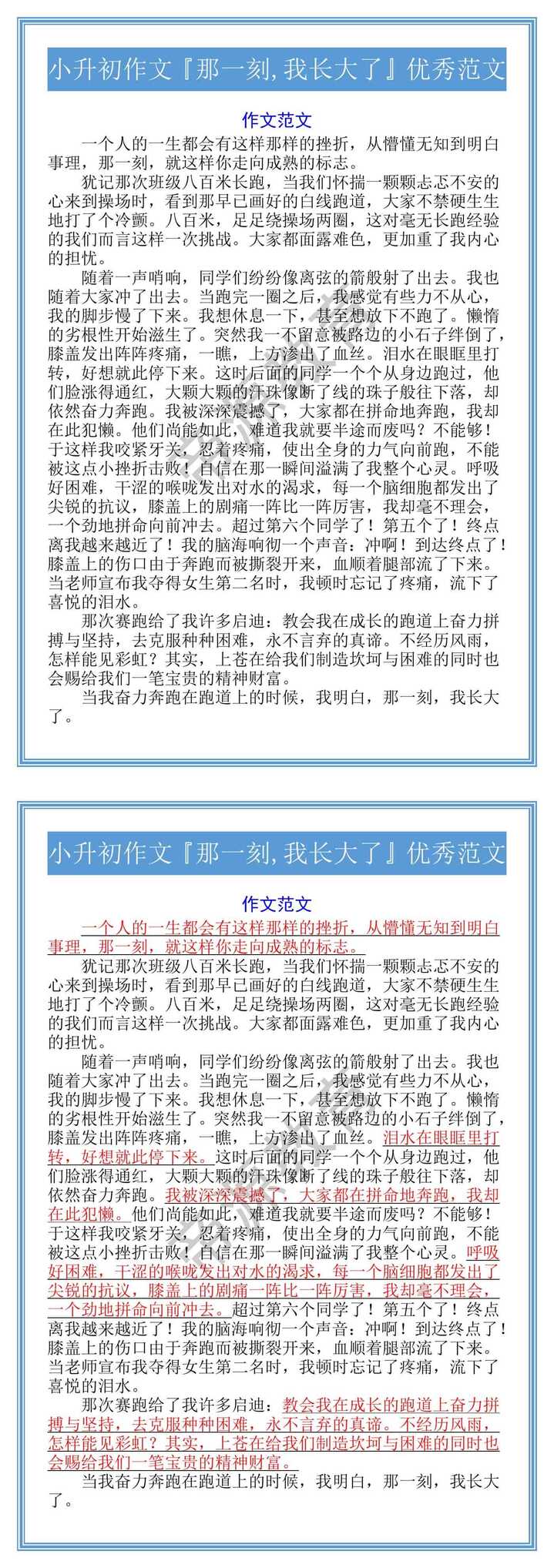 小升初作文『那一刻,我长大了』优秀范文