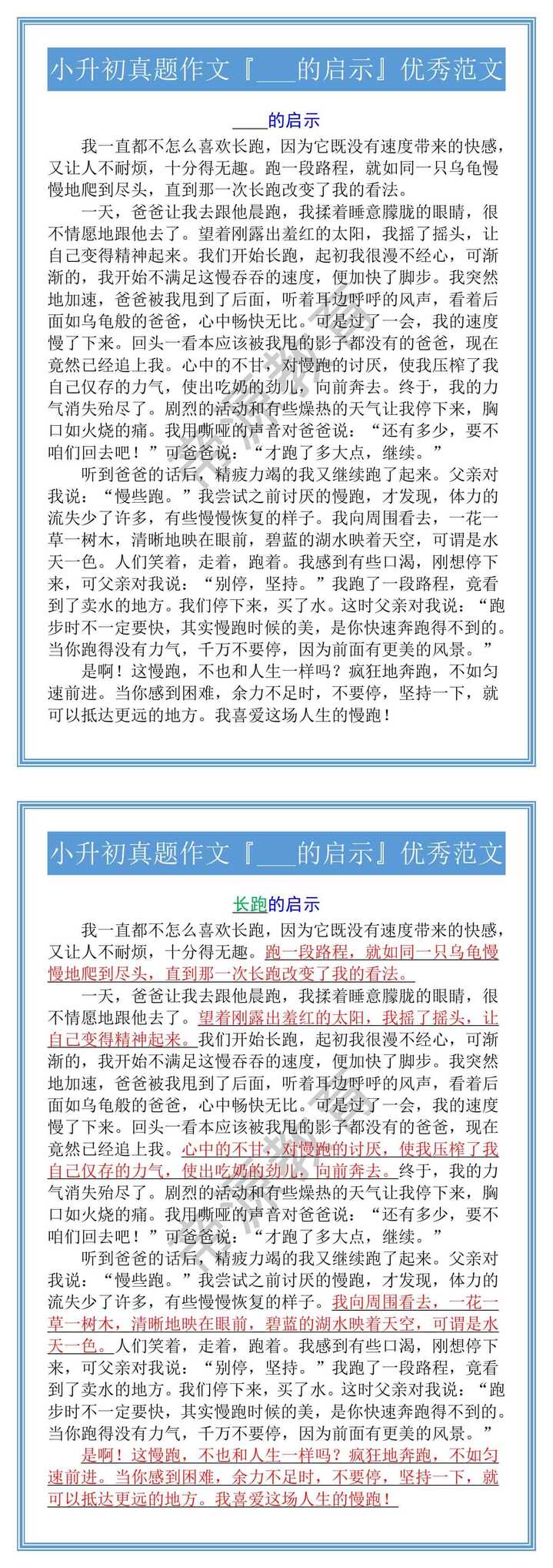 小升初真题作文『___的启示』优秀范文