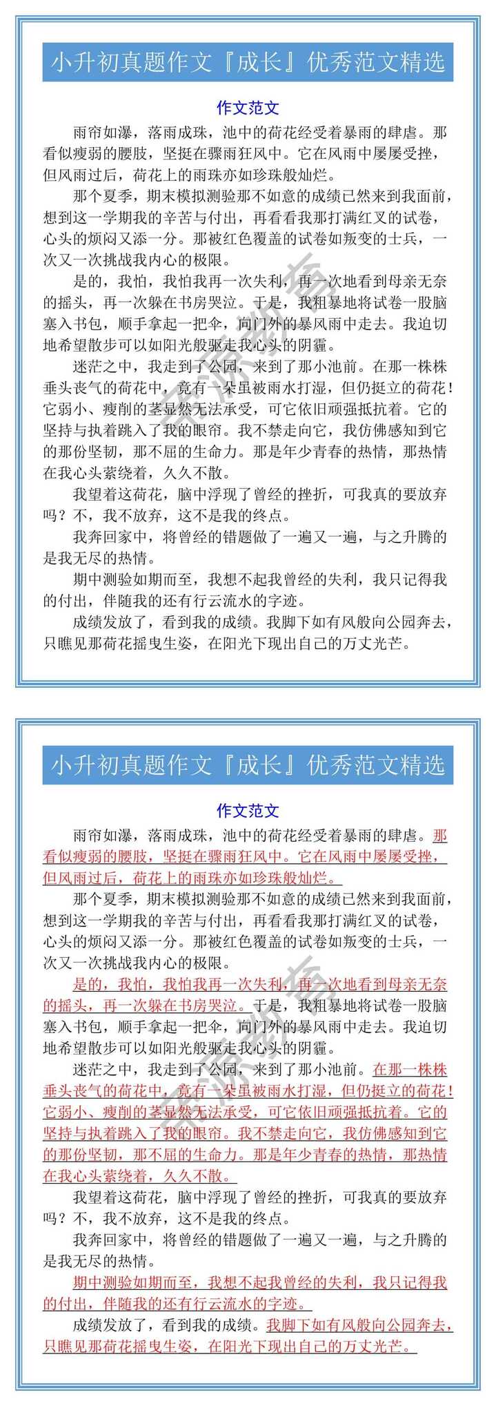 小升初真题作文『成长』优秀范文精选