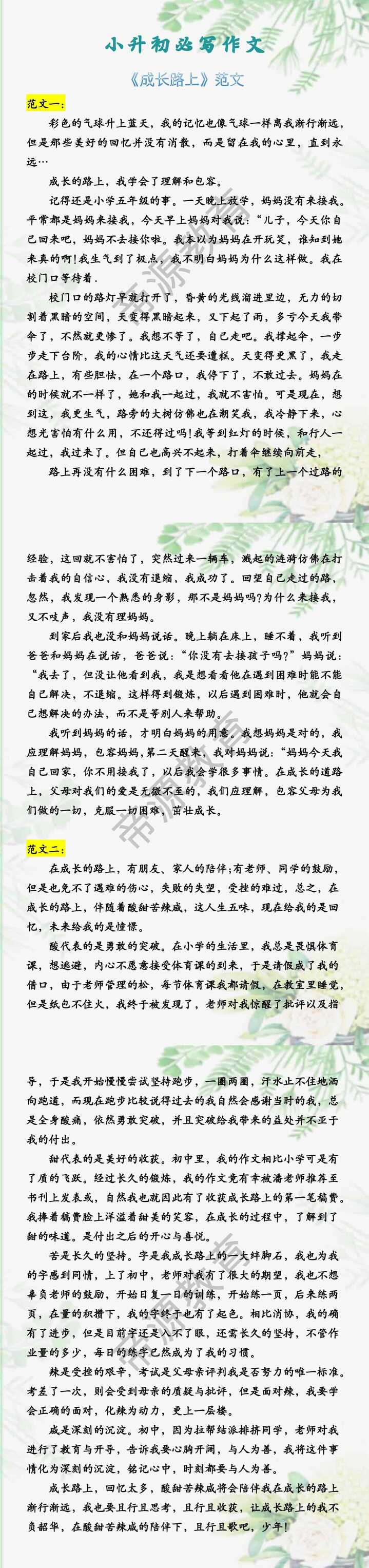 小升初必写作文 《成长路上》范文