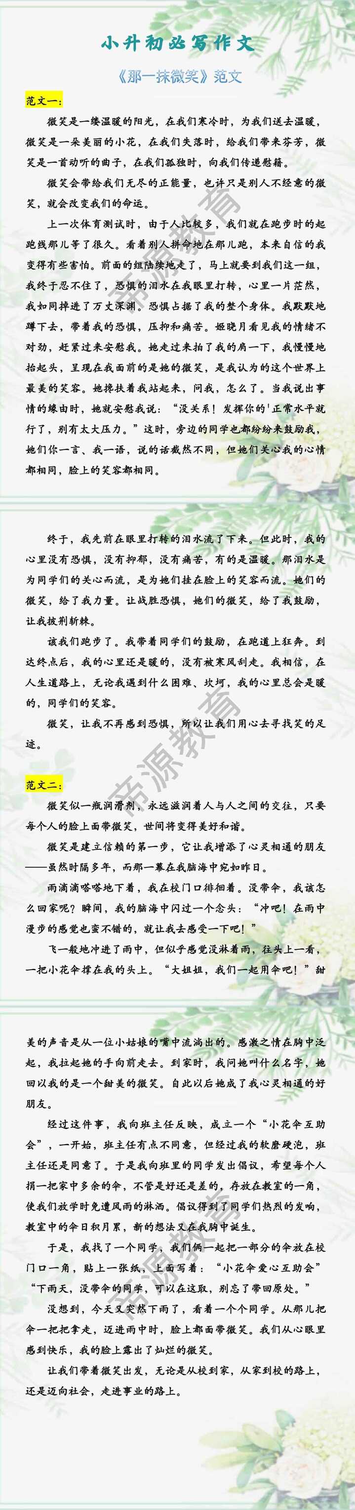小升初必写作文 《那一抹微笑》范文