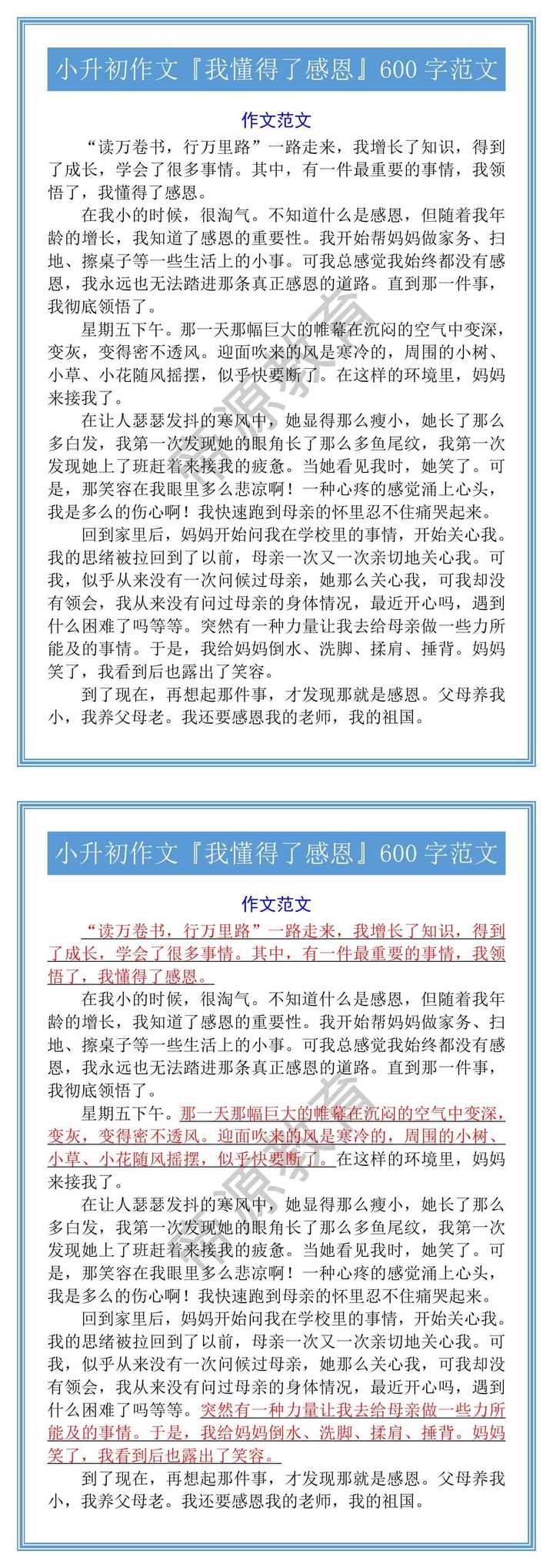 小升初作文『我懂得了感恩』600字范文