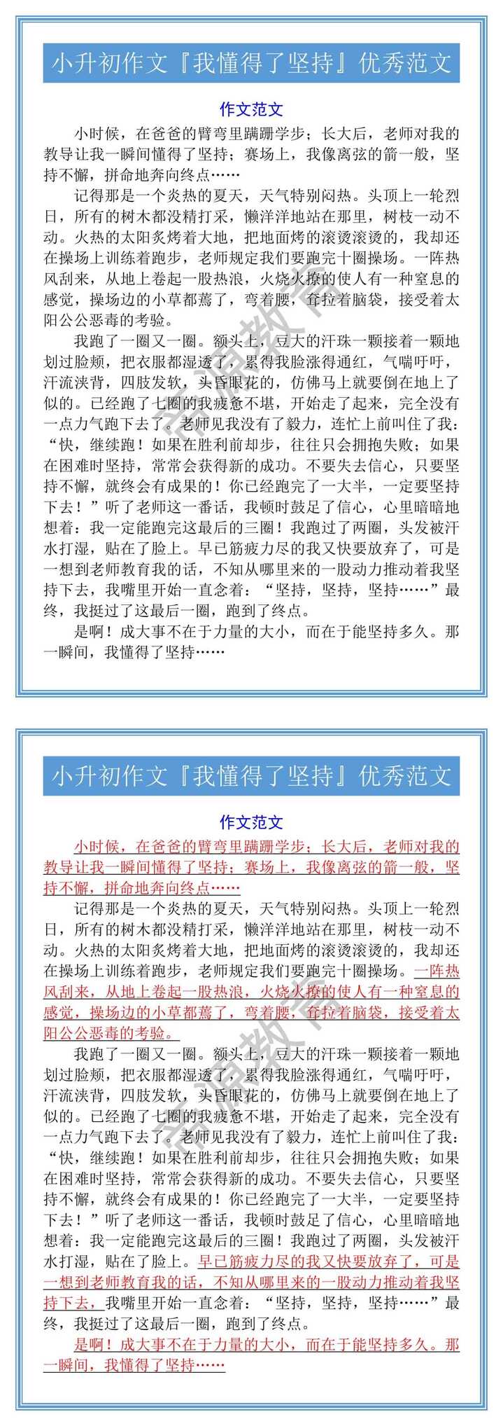 小升初作文『我懂得了坚持』优秀范文