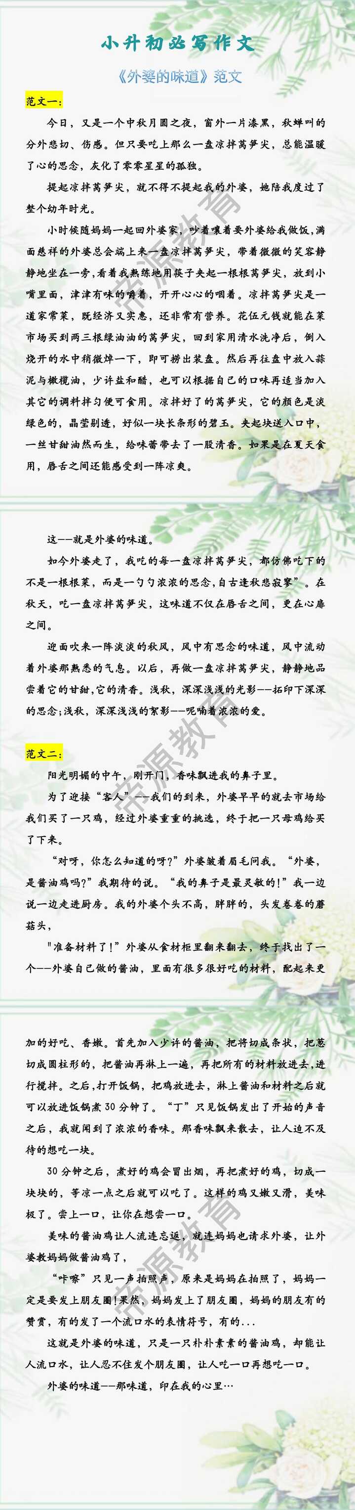 小升初必写作文 《外婆的味道》范文