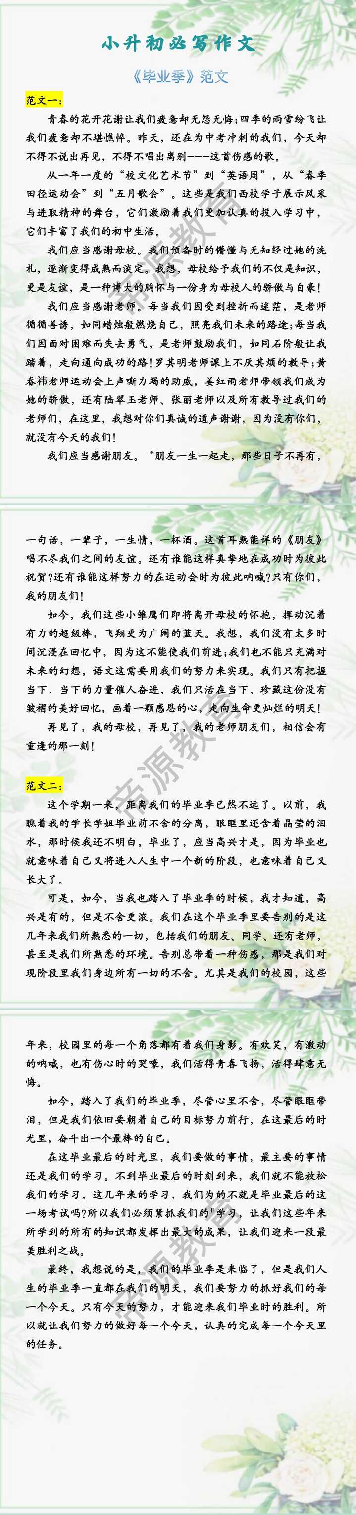 小升初必写作文 《毕业季》范文