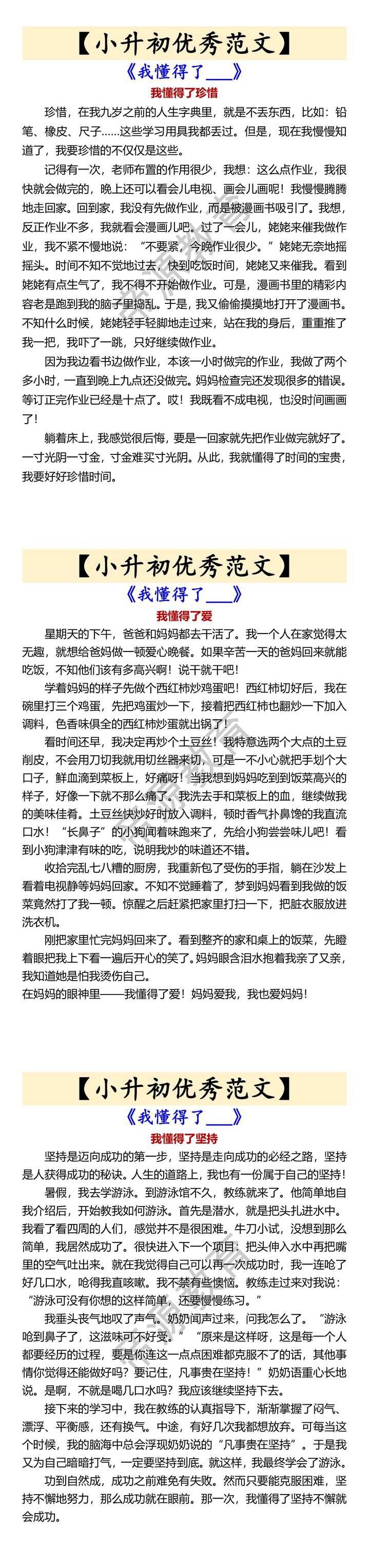 【小升初优秀范文】 《我懂得了___》