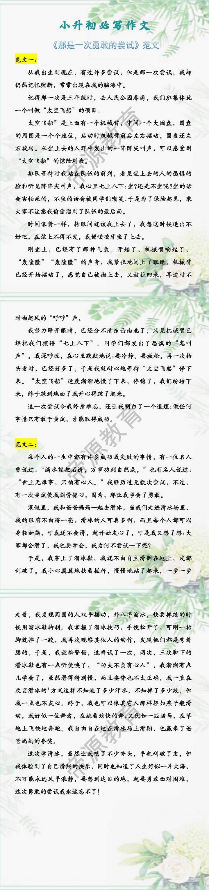 小升初必写作文 《那是一次勇敢的尝试》范文