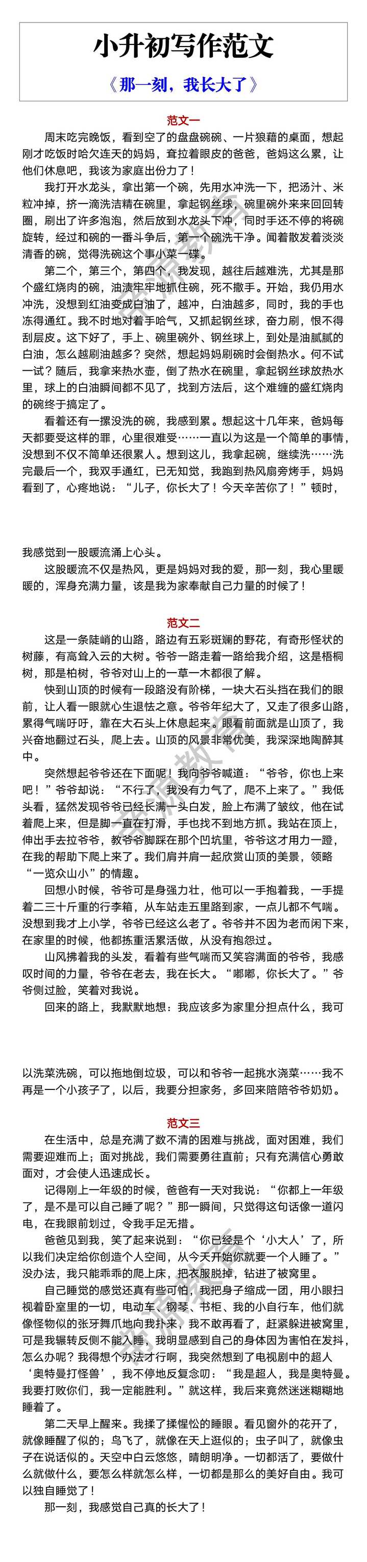 小升初写作范文 《那一刻，我长大了》