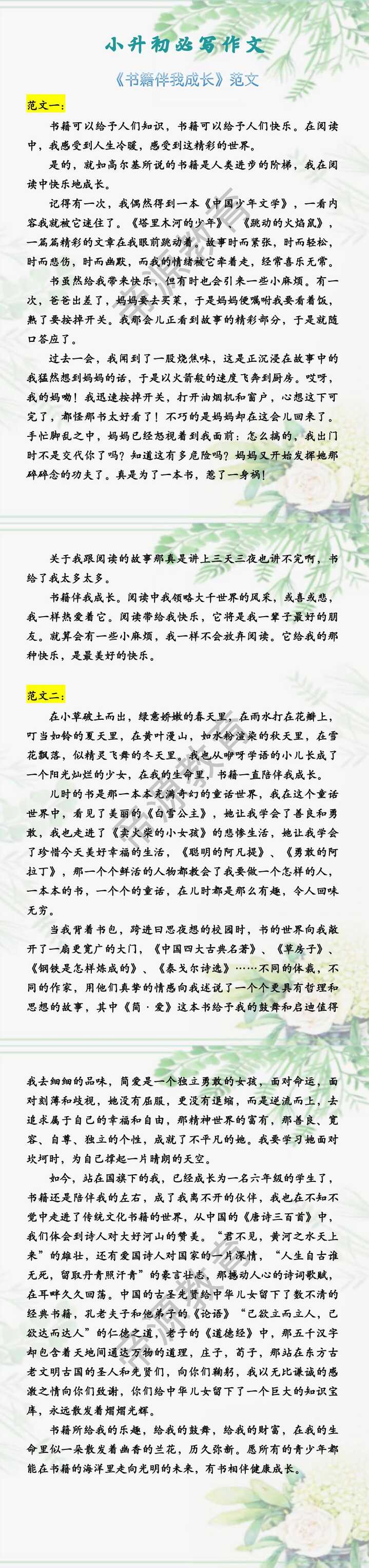 小升初必写作文 《书籍伴我成长》范文