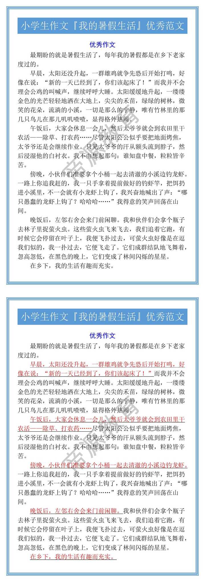 小学生作文『我的暑假生活』优秀范文