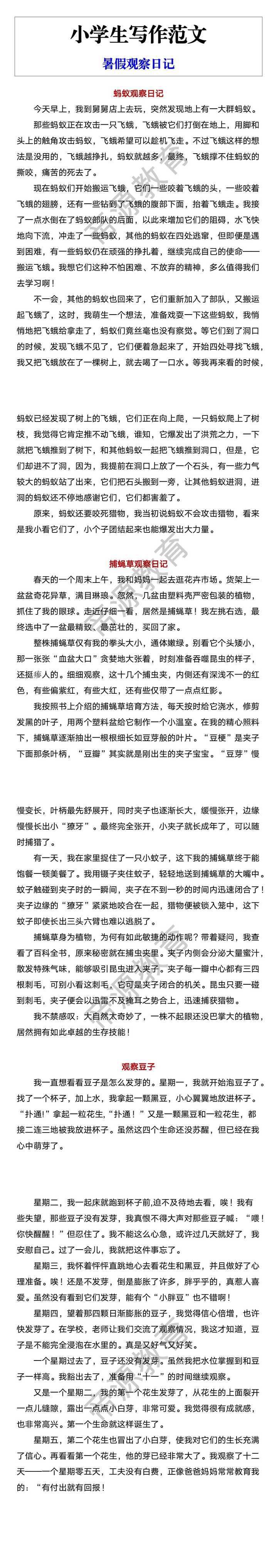小学生写作范文 暑假观察日记