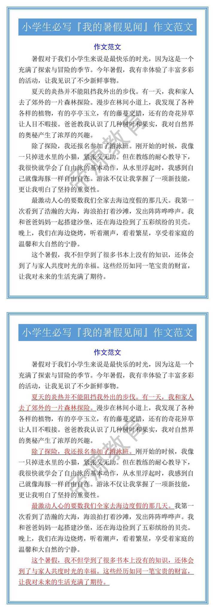 小学生必写『我的暑假见闻』作文范文