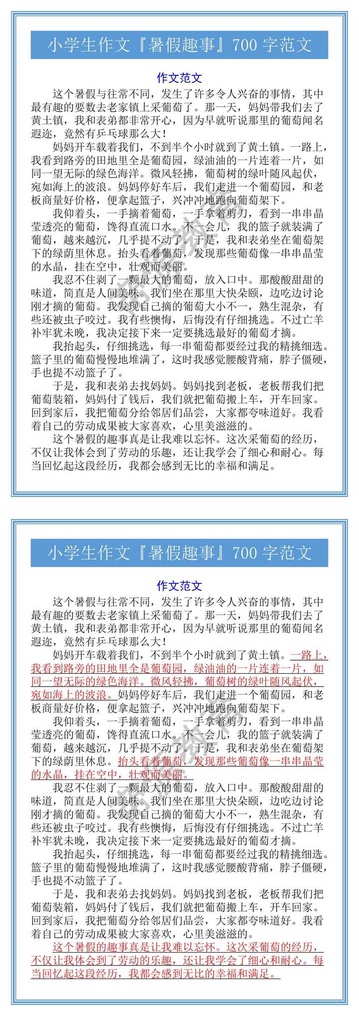 小学生作文『暑假趣事』700字范文