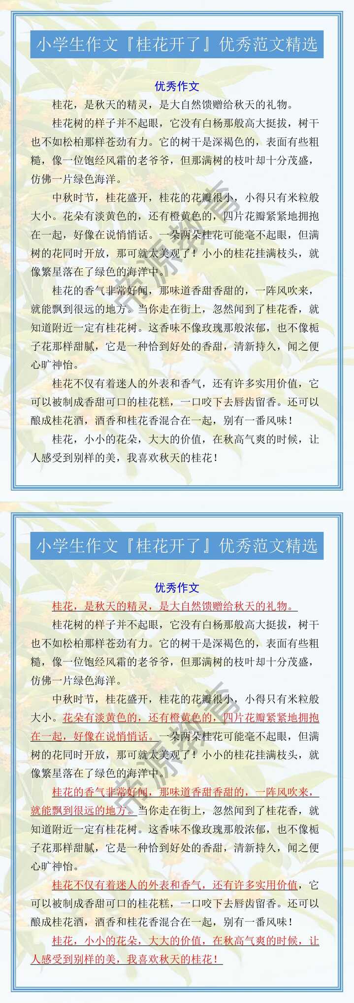 小学生作文『桂花开了』优秀范文精选