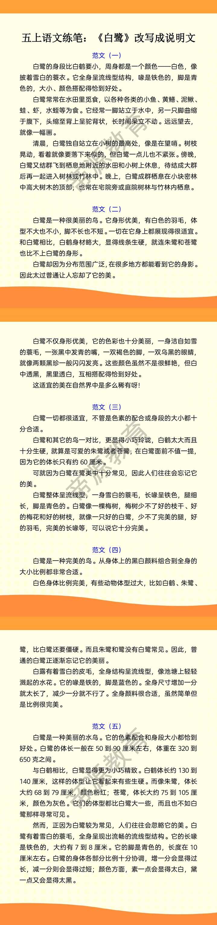 五上语文练笔：《白鹭》改写成说明文