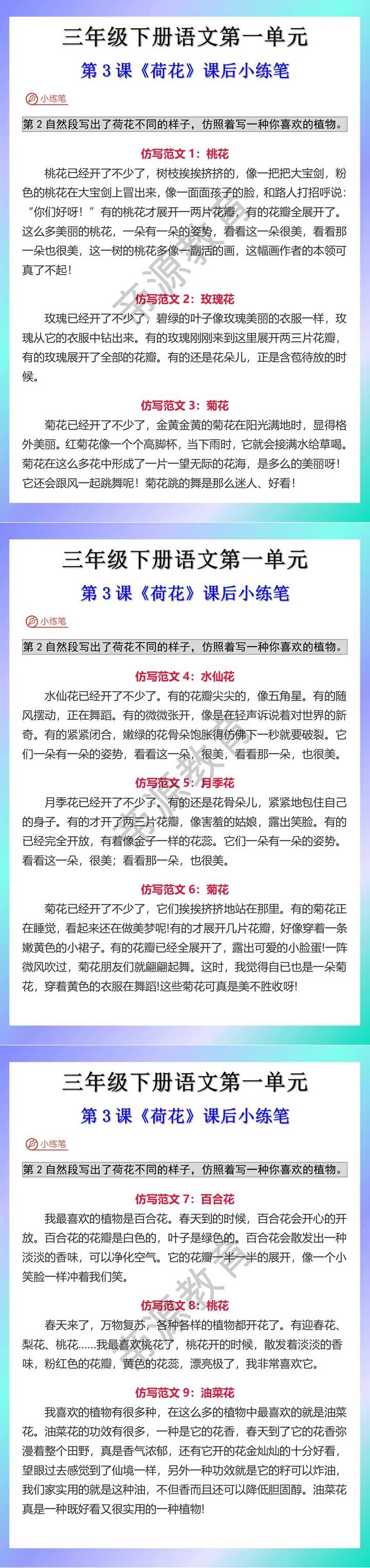三年级下册语文第三课《荷花》课后小练笔，仿写句子！