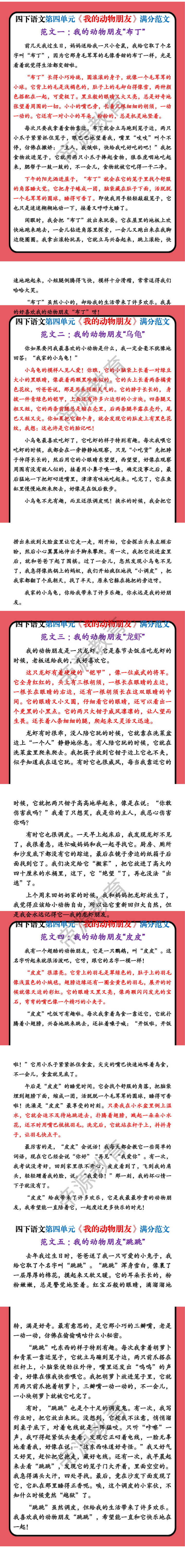 四下语文第四单元习作《我的动物朋友》范文