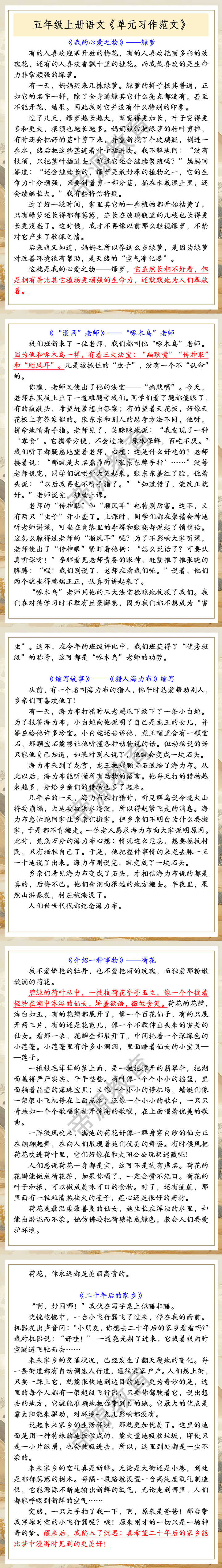 五年级上册语文《单元习作范文》