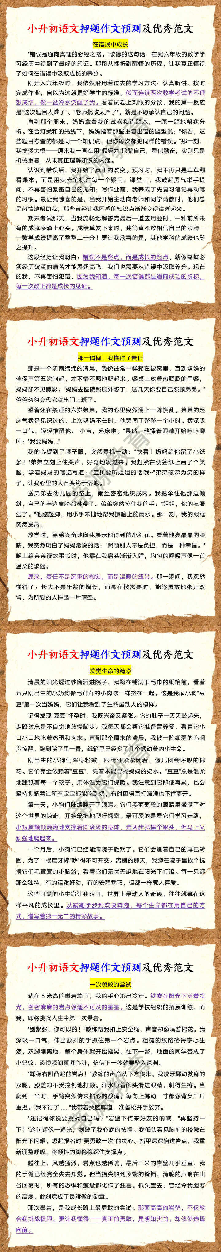 小升初语文押题作文预测及优秀范文
